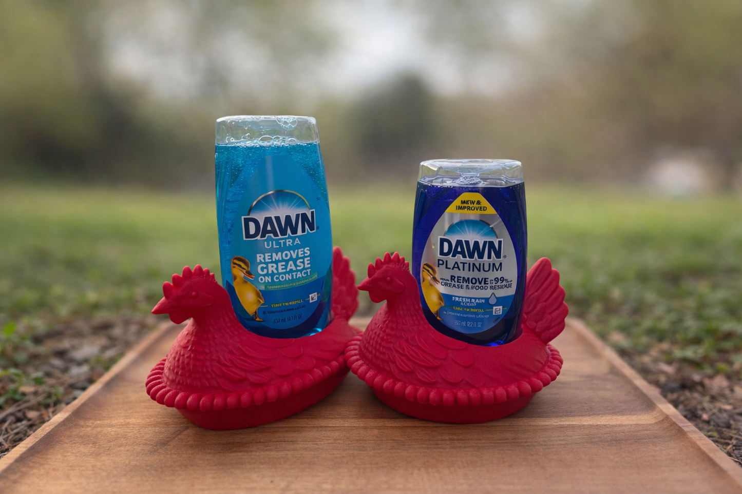 Hen on Nest Dish Soap Holder