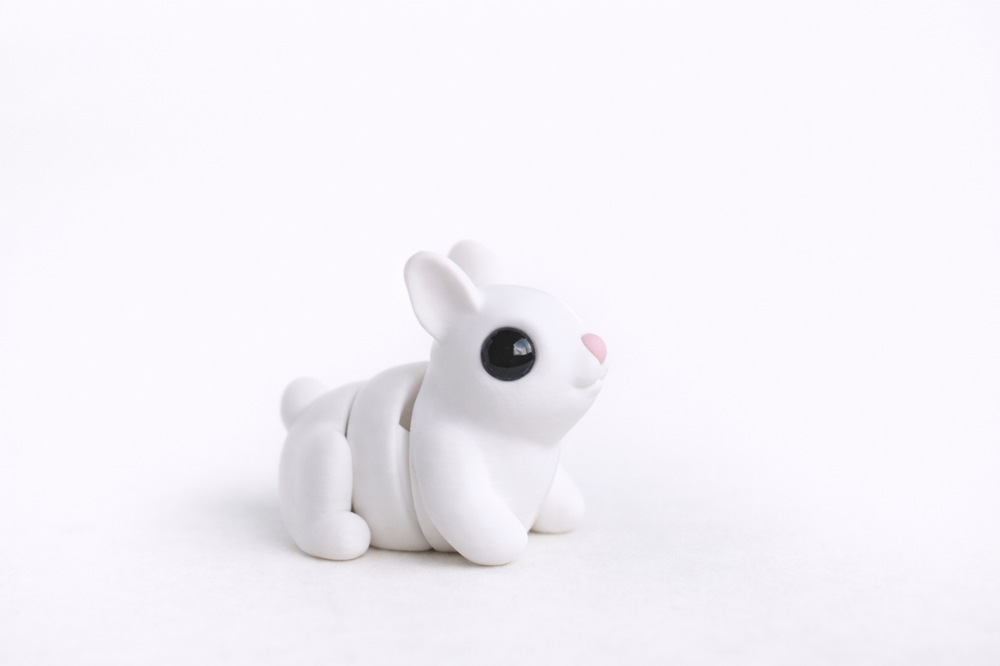 Everyday Animals Mystery Minis